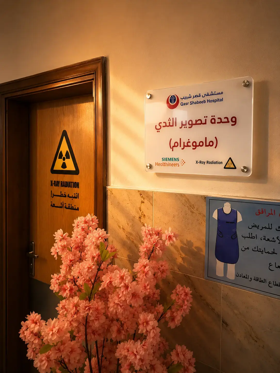 مستشفى قصر شبيب - صورة 2